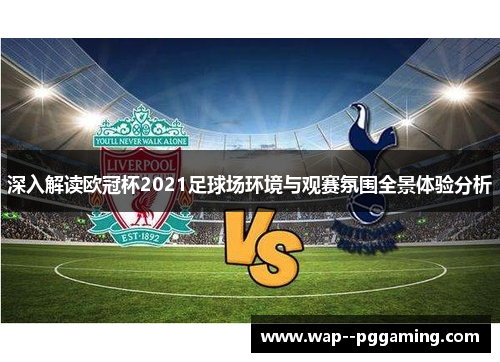 深入解读欧冠杯2021足球场环境与观赛氛围全景体验分析
