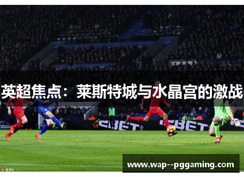 英超焦点:莱斯特城与水晶宫的激战 英超焦点:莱斯特城与水晶宫的激战