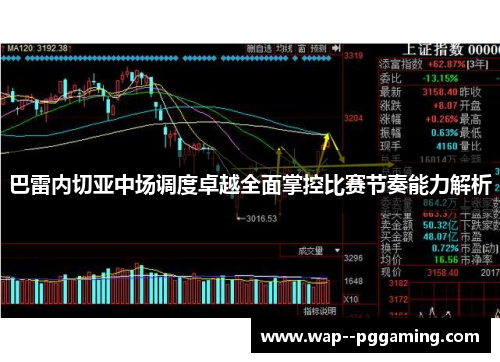 巴雷内切亚中场调度卓越全面掌控比赛节奏能力解析
