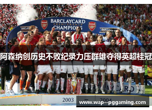 阿森纳创历史不败纪录力压群雄夺得英超桂冠