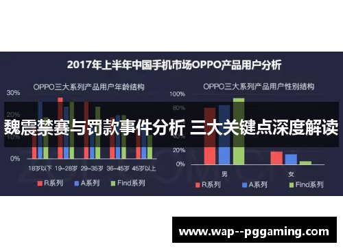 魏震禁赛与罚款事件分析 三大关键点深度解读