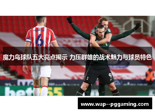 魔力鸟球队五大亮点揭示 力压群雄的战术魅力与球员特色