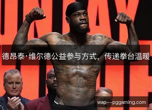德昂泰·维尔德公益参与方式，传递拳台温暖