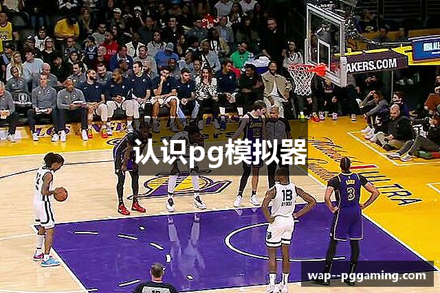 认识pg模拟器